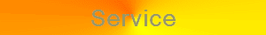 Service
